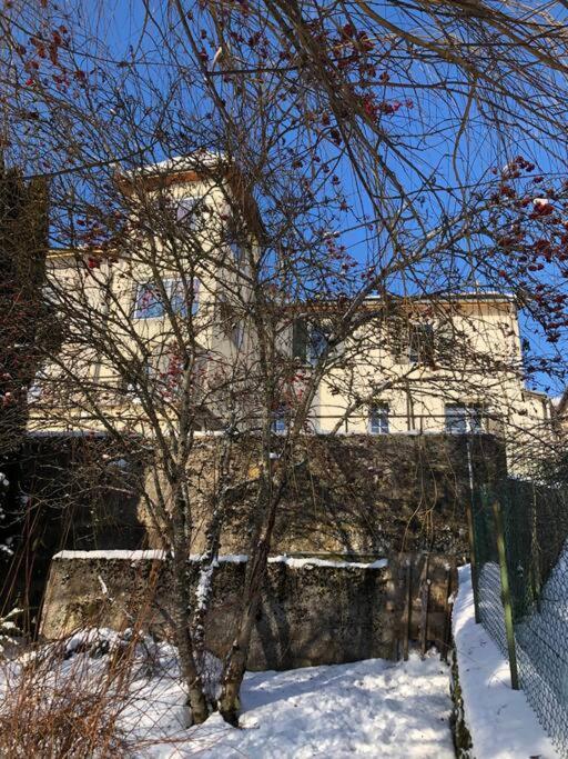 Magnifique Maison Renovee, 10Pers Rencurel Екстер'єр фото